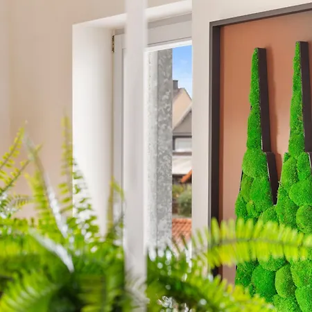 Svyvo Cologne-esch Design *