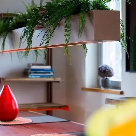 Svyvo Cologne-esch Design *