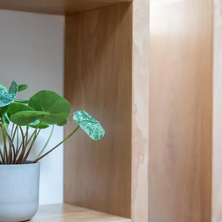 Svyvo Cologne-esch Design *