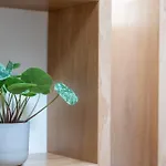 Svyvo Cologne-esch Design *