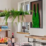 Apartment Svyvo Cologne-esch Design Köln