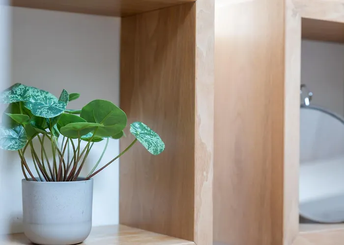 Svyvo Cologne-esch Design *