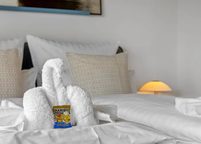 Svyvo Cologne-esch Design